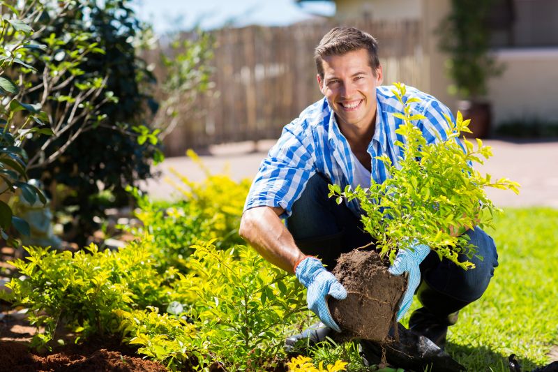 Greenery Planting in Honolulu, HI