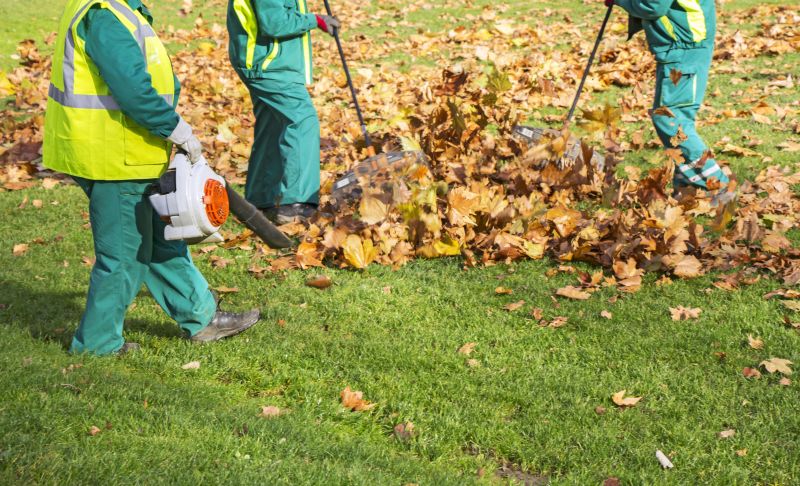 Contact About Yard Leaf Removal