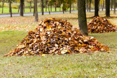 Prevent Pest Infestations!