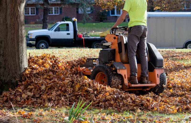 Yard Leaf Removal
