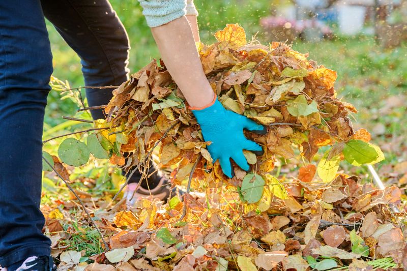 Autumn Leaf Removal in Ventura County, CA