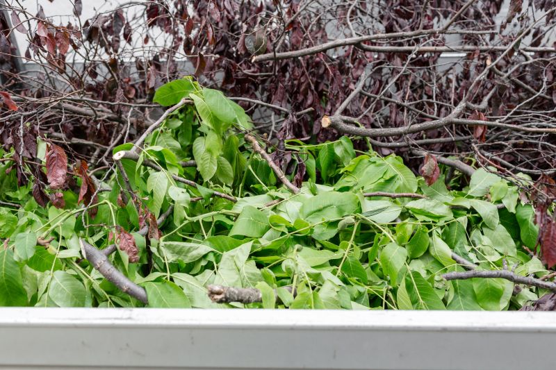 Brush Cleanup Service in Ventura County, CA