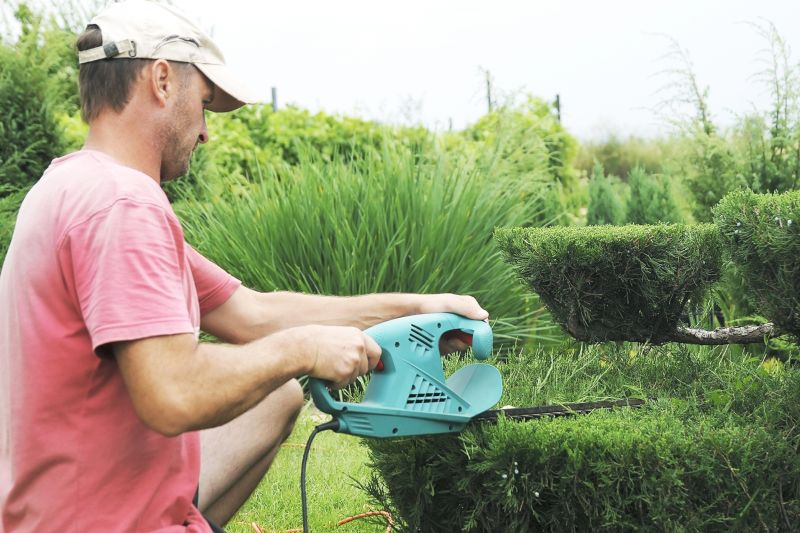 Bush Trimming Service in Honolulu, HI