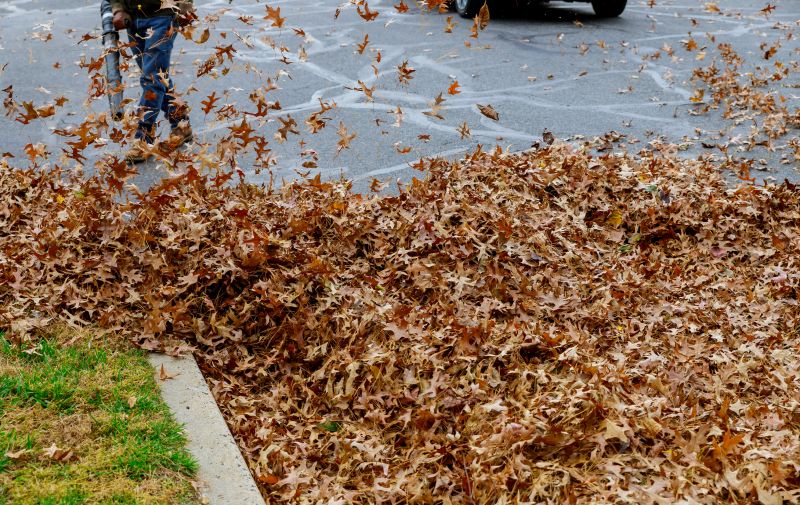 Yard Leaf Removal