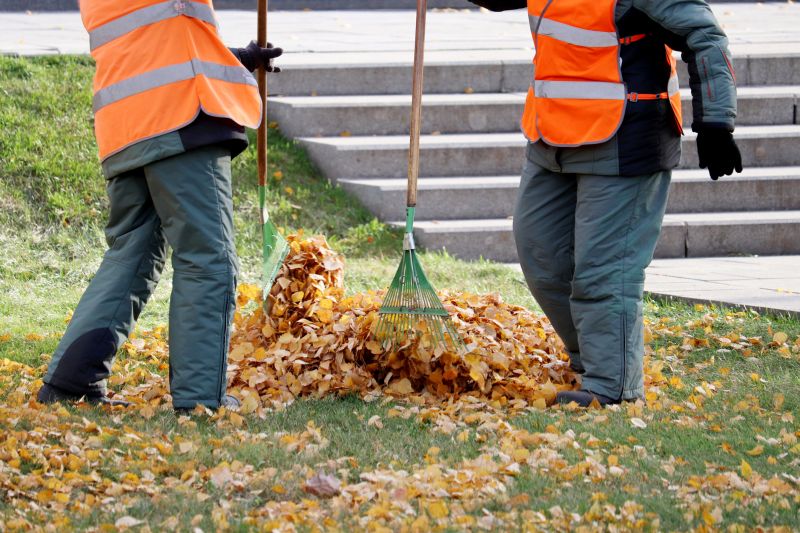 Yard Leaf Removal