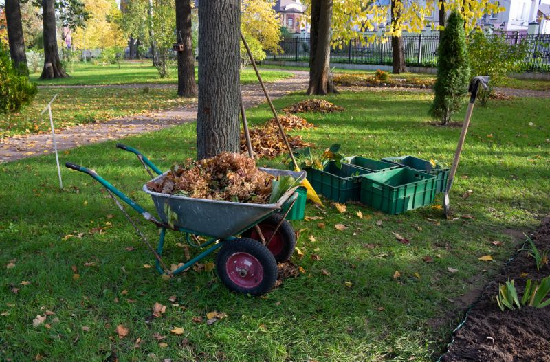 Yard Leaf Removal