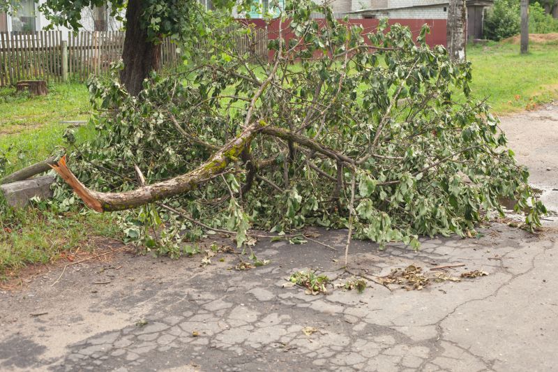 Fallen Branch Removal in Ventura County, CA