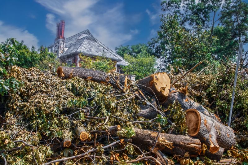 Fallen Branch Removal in Ventura County, CA