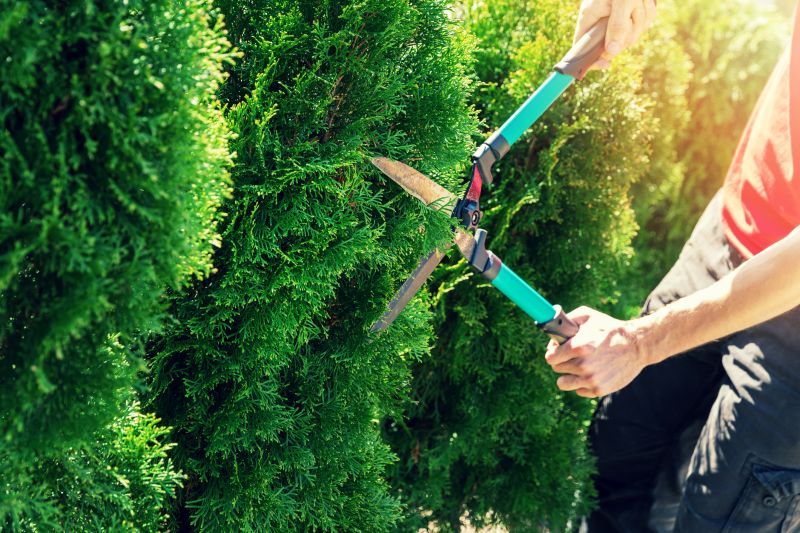 Hedge Trimming in Honolulu, HI