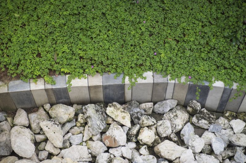 Lawn Curbing Service in Honolulu, HI