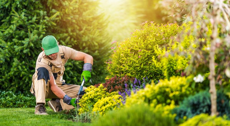 Spring Garden Maintenance in Ventura County, CA