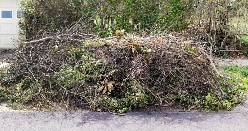 Tree Branches Removal in Ventura County, CA
