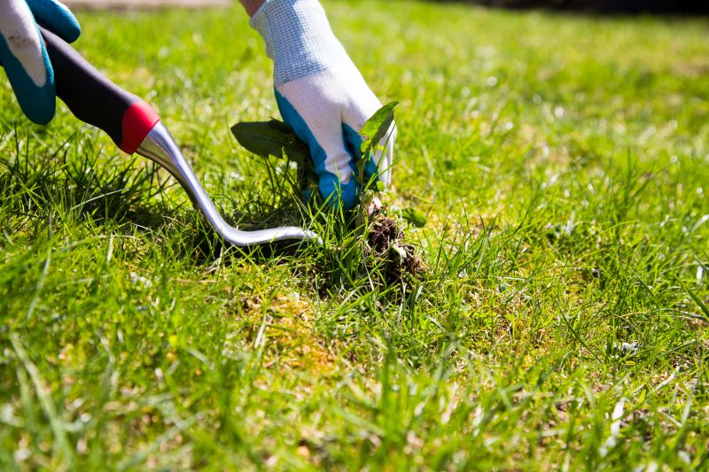 Weeding Service in Ventura County, CA