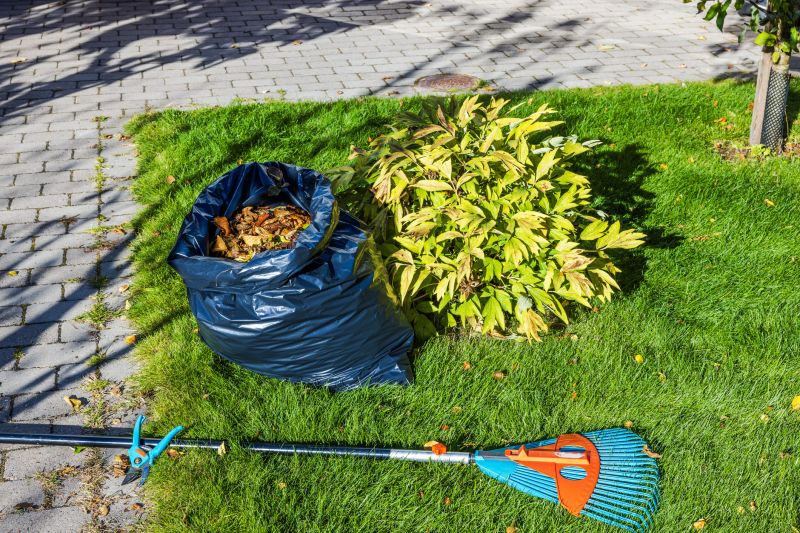 Yard Leaf Removal