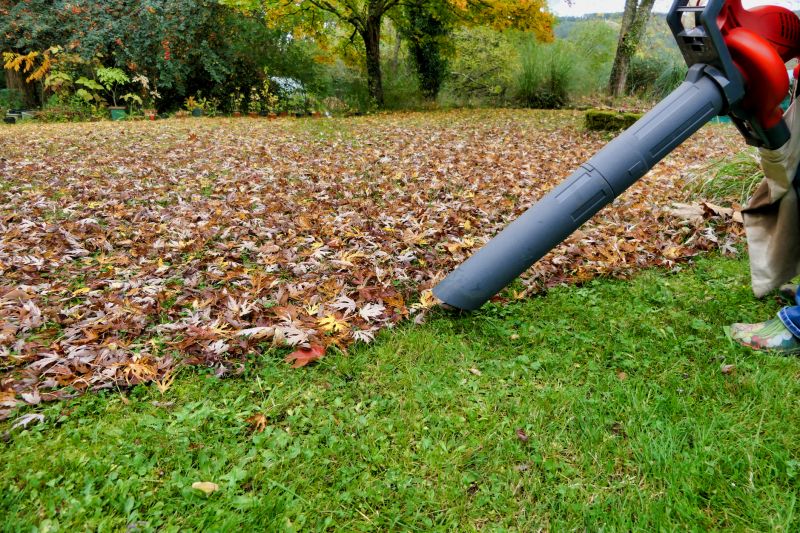 Yard Leaf Removal Equipment