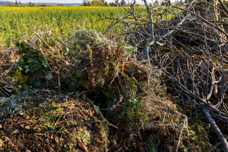 Finished Yard with Clear Landscaping